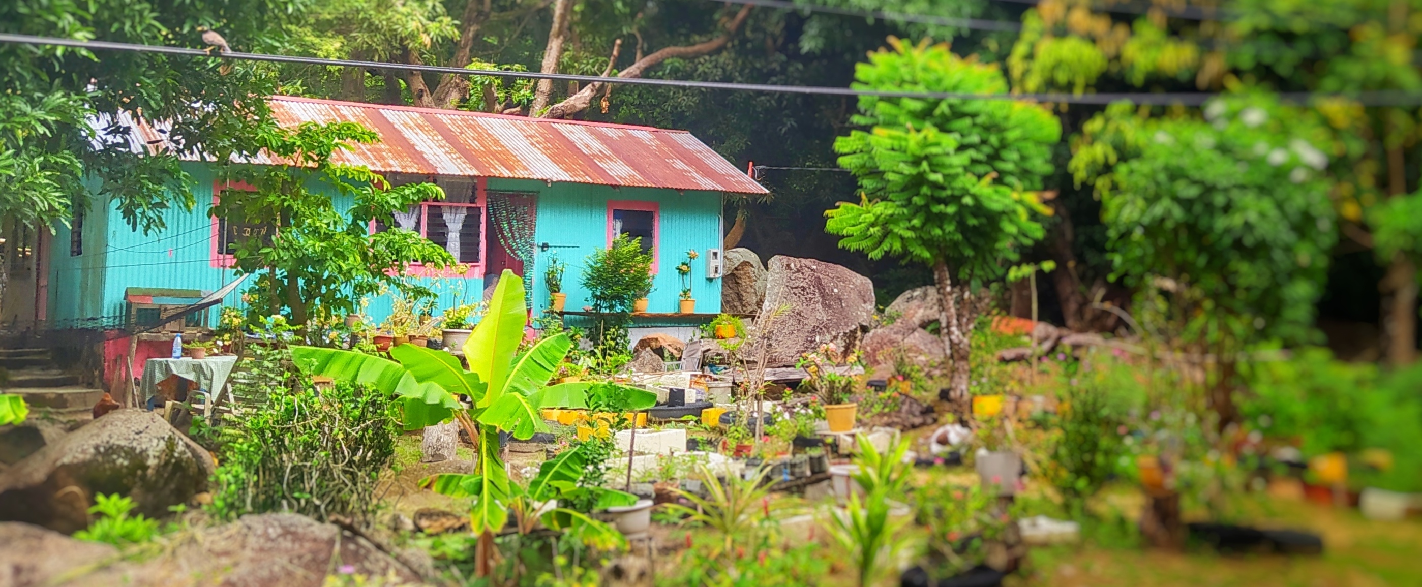 A house in the Seychelles