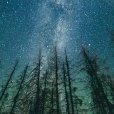 Wintery Sky Illustrating Seasonal Science Lessons For KS3 & KS4 Students, Covering Biology, Chemistry & Physics