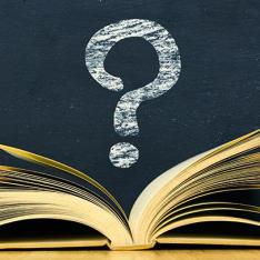 New Teachers article image