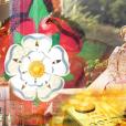 The Tudor Rose and Tudor Kings and Queens for teaching Tudors Secondary History KS3 KS4 KS5