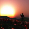 WW1 soldier saluting in a poppy field