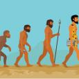 Evolution, Variation & Inheritance Image