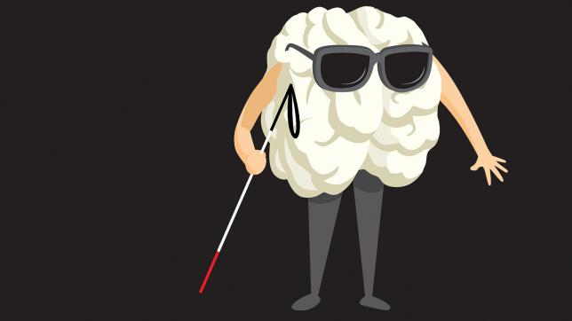Aphantasia: Now I see how pupils visualise differently