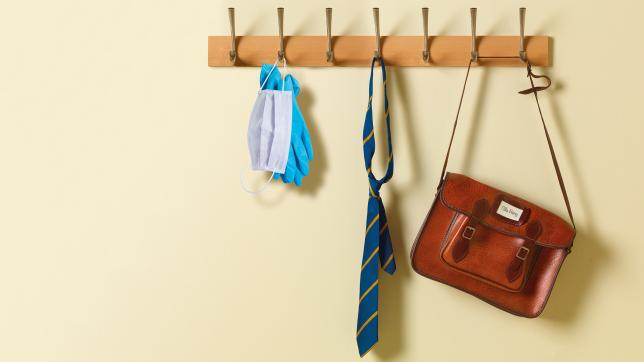Could your school be too clean?