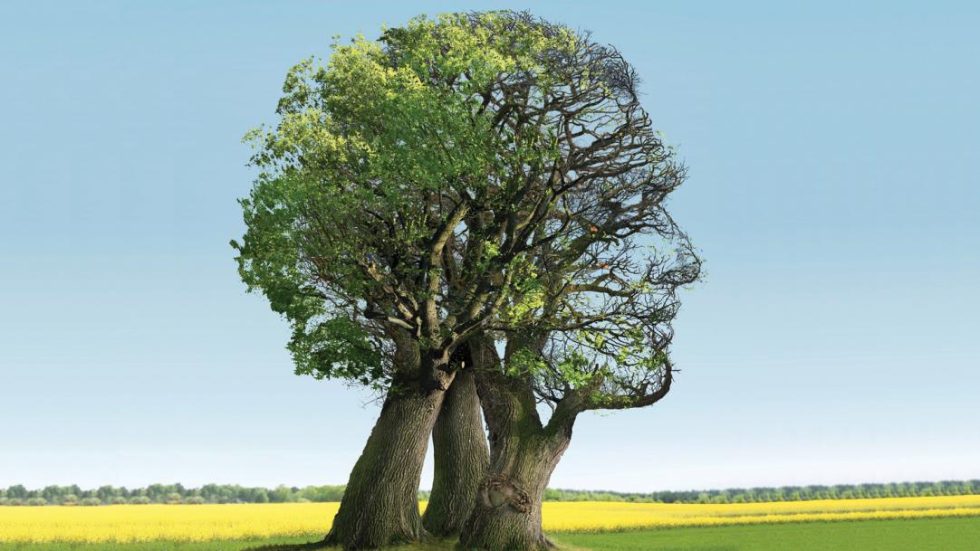 Magazine article image