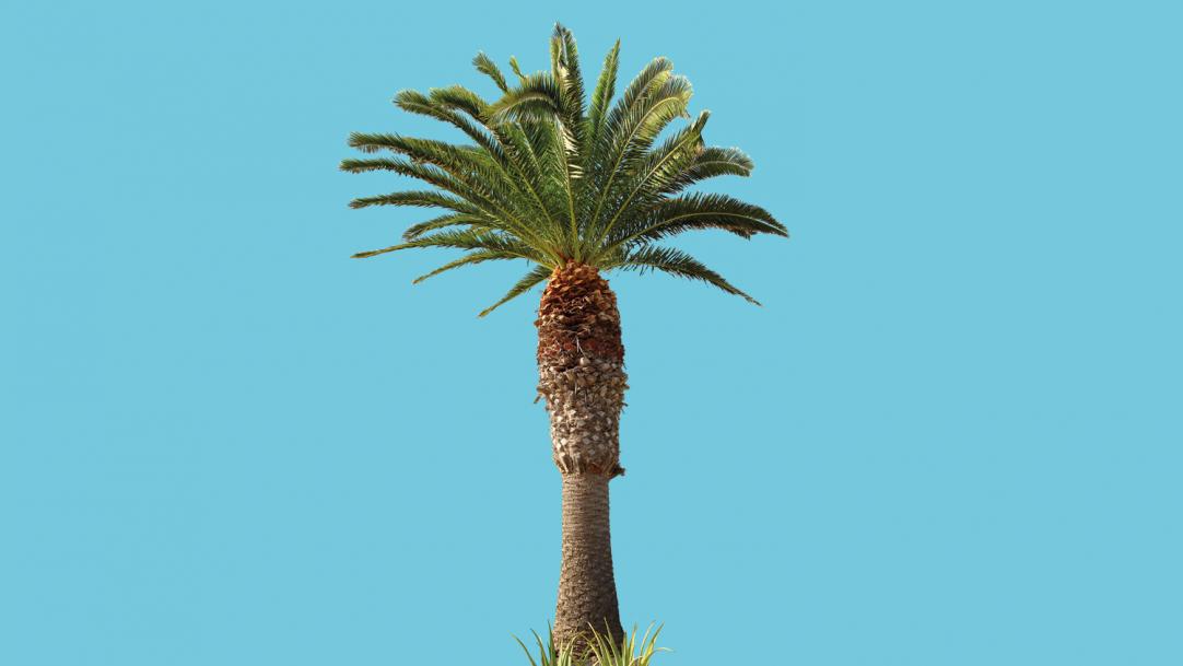 Magazine article image