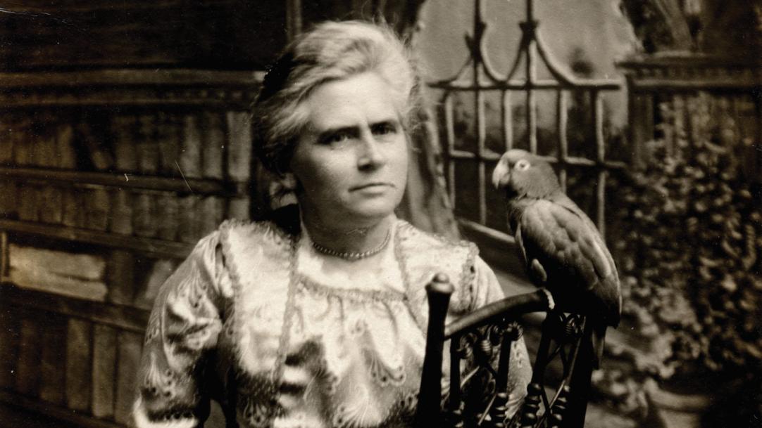Magazine article image