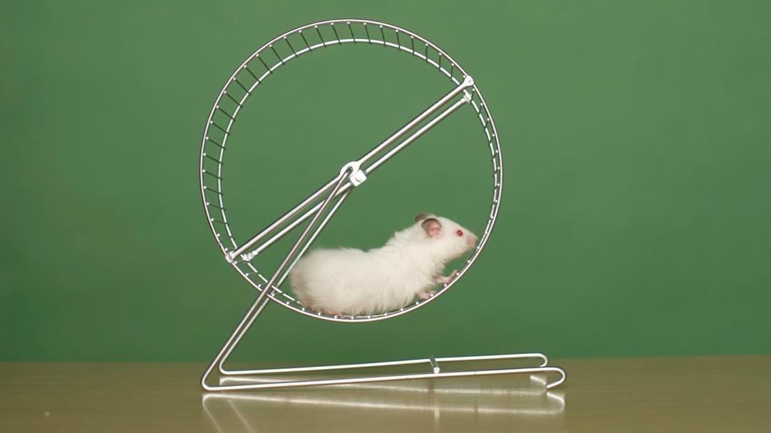 Magazine article image