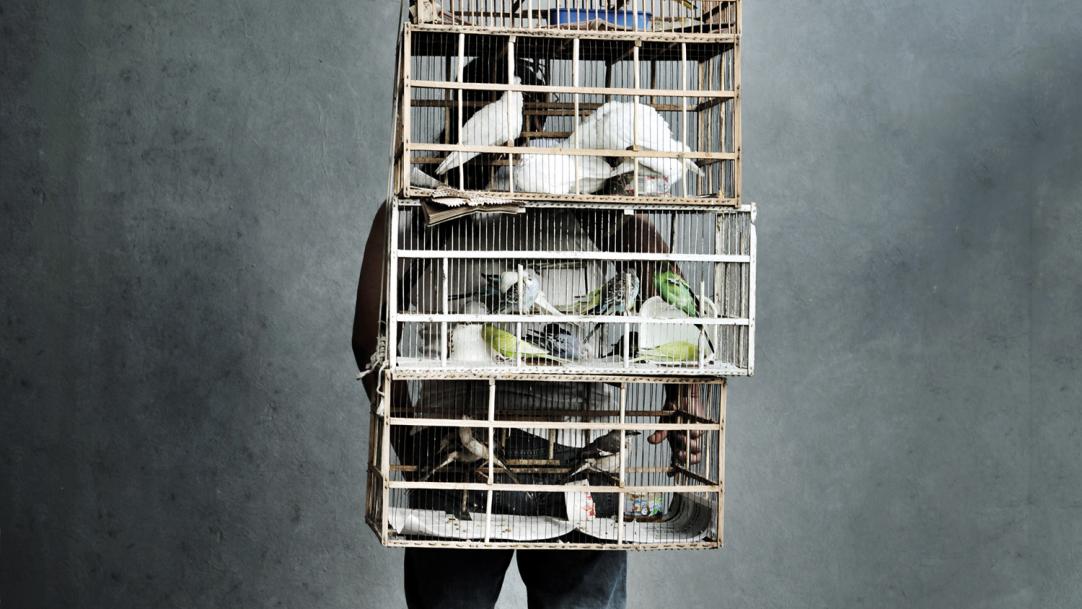Magazine article image