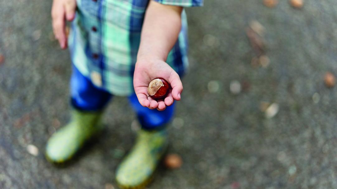 Conker