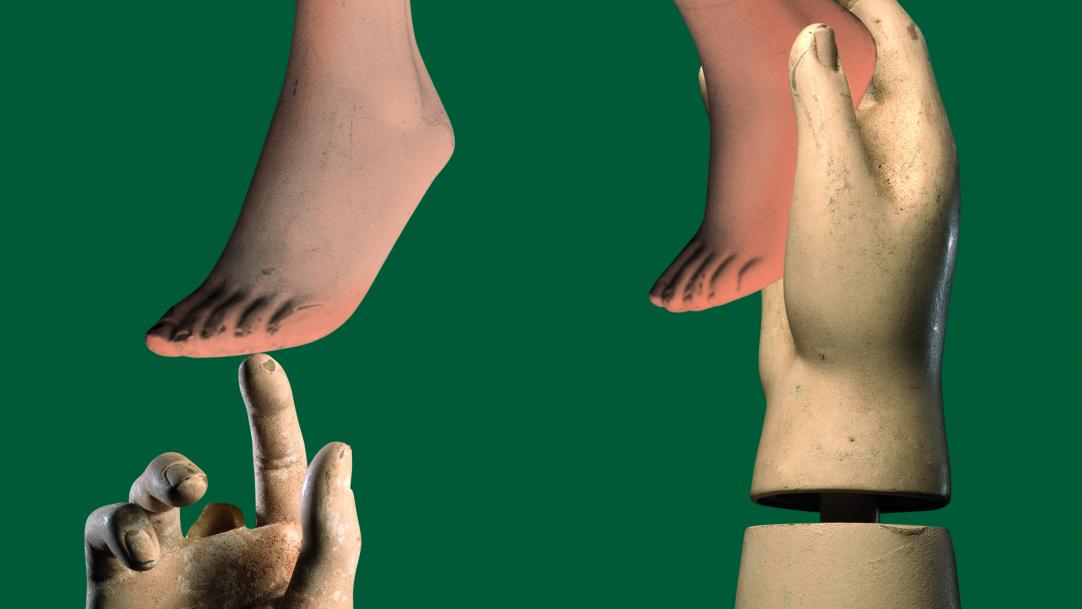 Brain vs body? Practical vs academic? There's need for both
