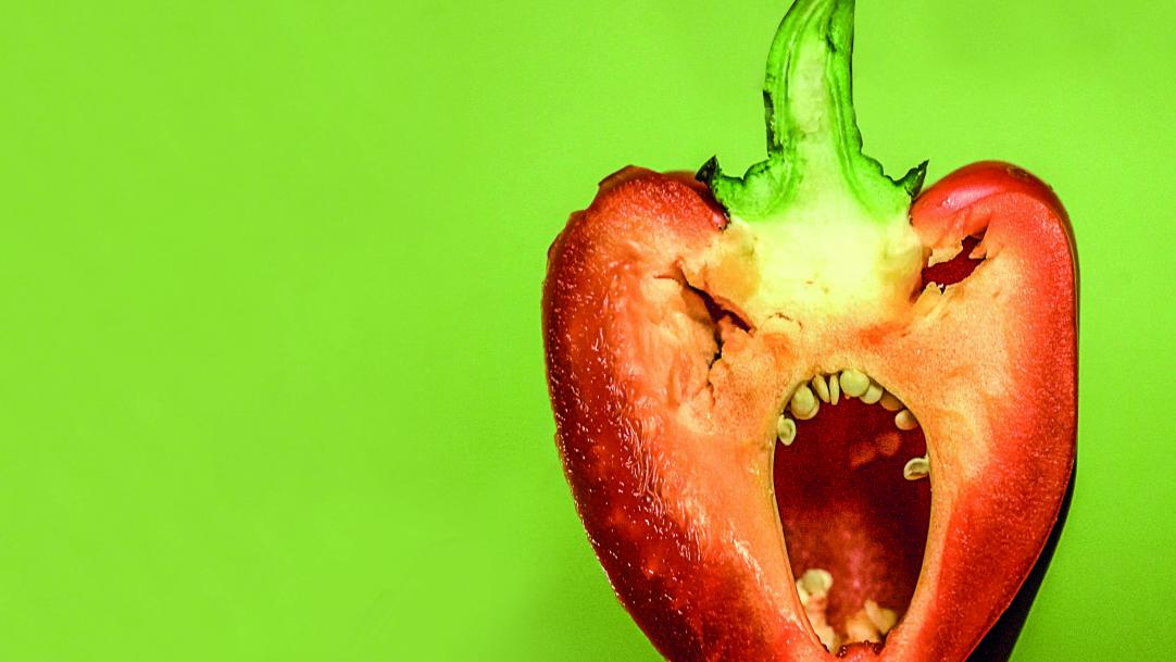 The importance of a child's lunch