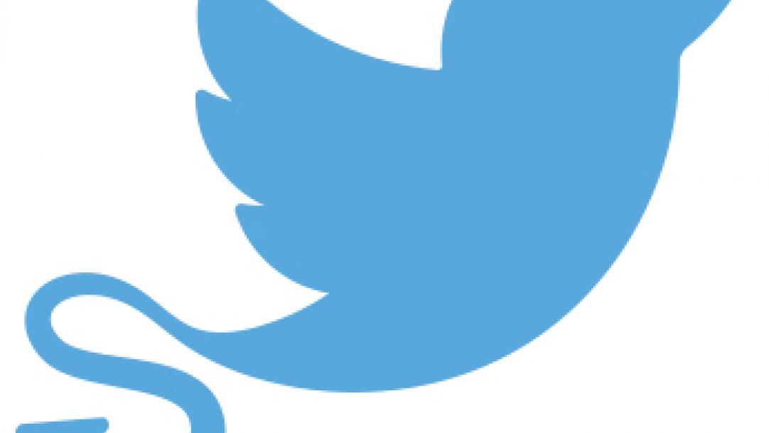 Is social media bad for children?