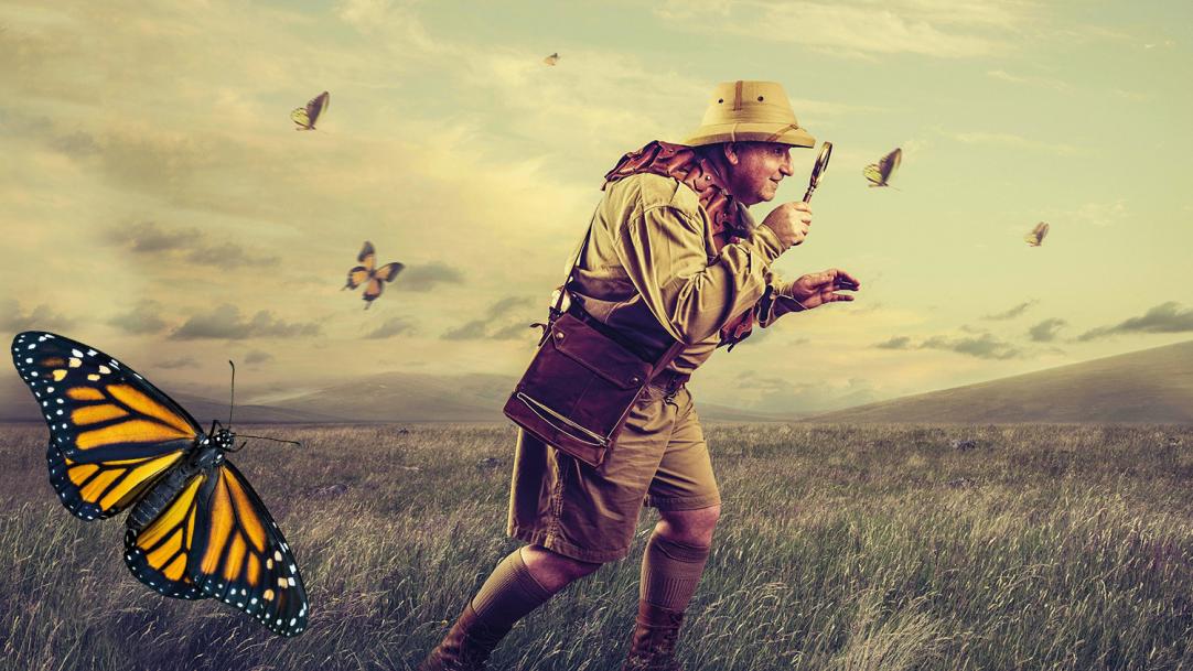 Explorer with magnifying glass surrounded by butterflies - observations in class
