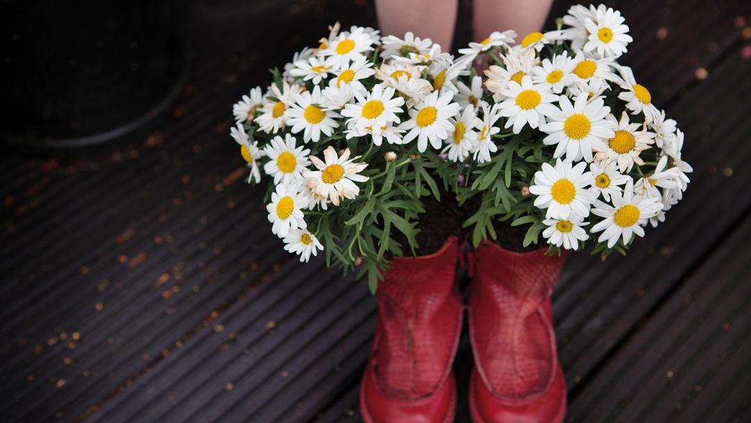 Metacognition: How plants can help with wellbeing and social and emotional learning in school