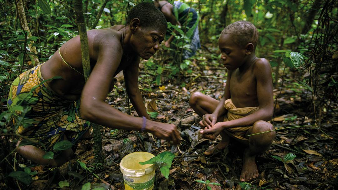 What hunter-gatherers can teach us about learning