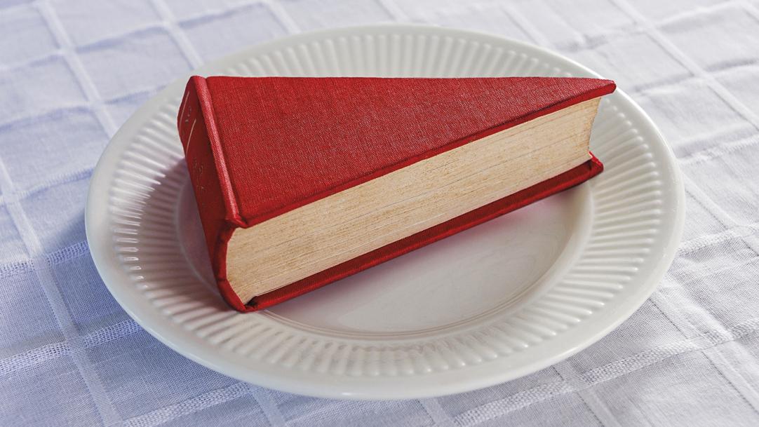 Reading: what makes a healthy approach?