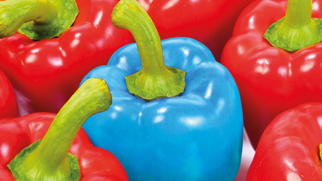 Colour blindness: How schools and teachers can support colour-blind pupils