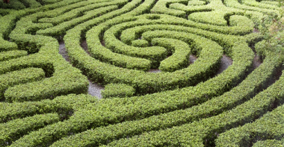 Maze To Show There Are Many Ways To Become A Teacher