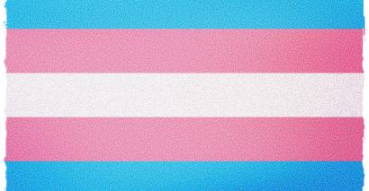 Supporting Trans and Non-Binary Students and Staff in Further and Higher Education: Practical advice for colleges and universities