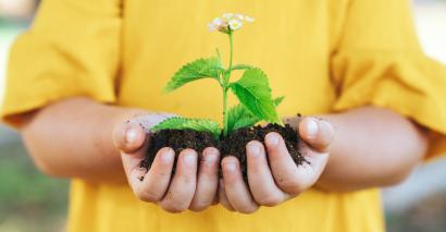 Coronavirus: One teacher explains the benefits of getting vulnerable pupils gardening in lockdown