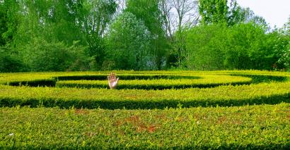 Maze