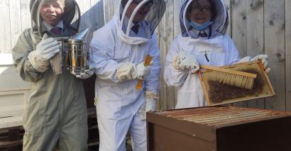 How school bee projects can engage students in sustainability issues and climate change