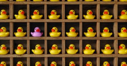Why it's dangerous for schools to follow the latest Twitter education fads