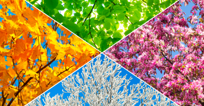 Seasons represented with spring, summer, autumn and winter as inspiration for seasonal poetry writing and analysis for primary pupils