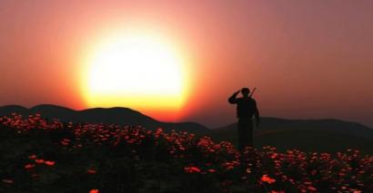 WW1 soldier saluting in a poppy field