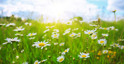 Summer Afternoon Activity Ideas and Summer Resources EYFS and primary