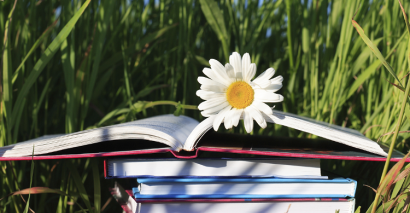 Primary School Book Outdoor Learning Activities During Summer Holidays