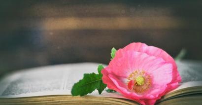 A poppy on a War Poetry book for resources to teach war poetry with KS3 and KS4 secondary students