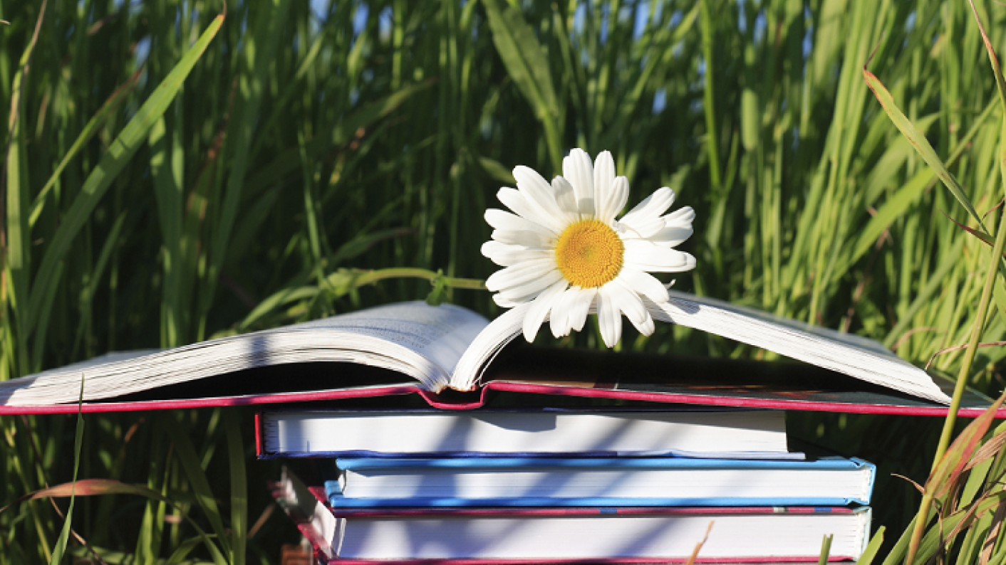 english holiday homework ideas Primary School Book Outdoor Learning Activities During Summer Holidays