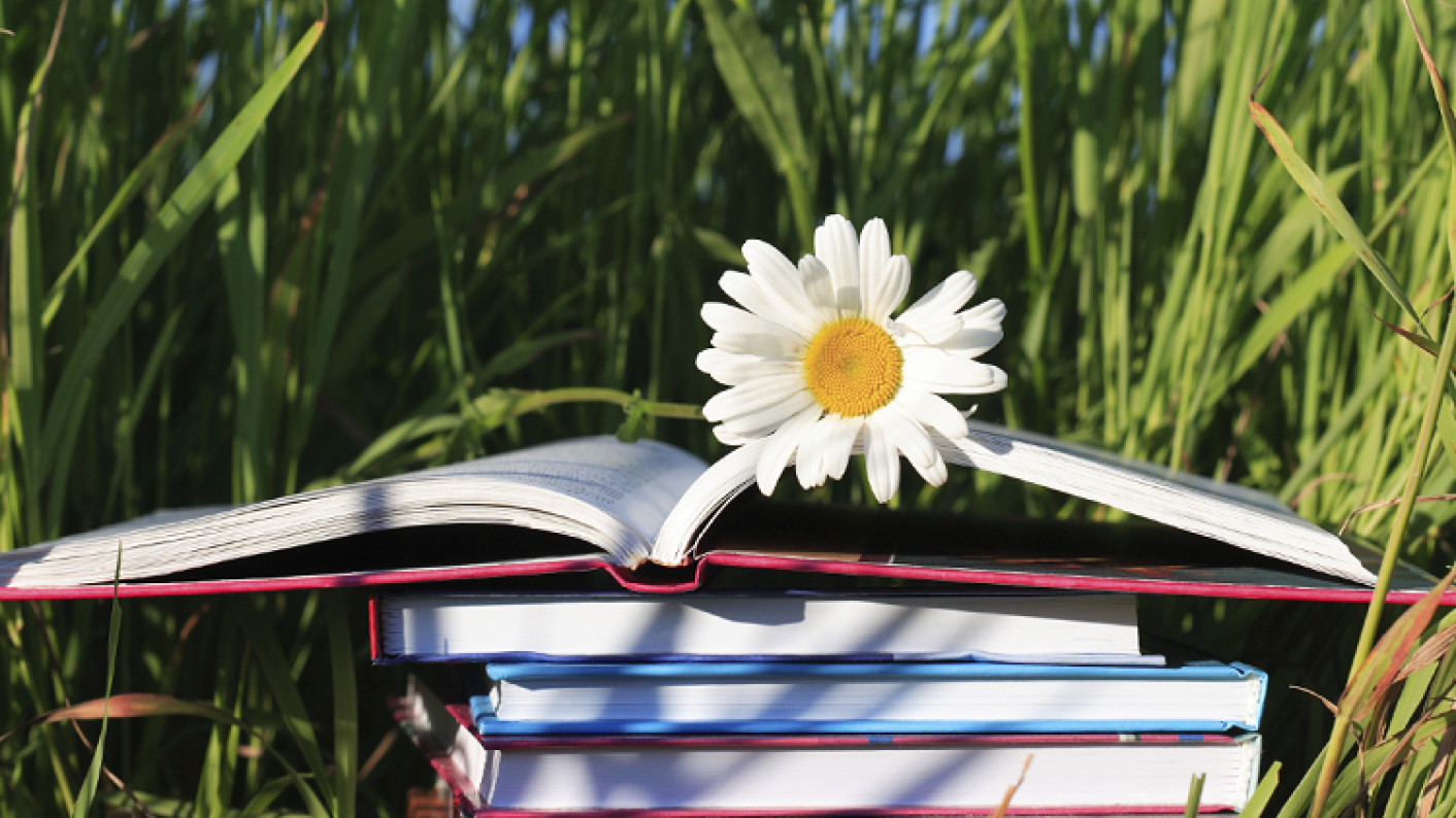 Primary School Book Outdoor Learning Activities During Summer Holidays