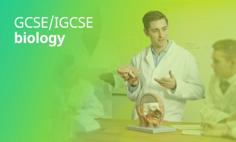 GCSE and iGCSE biology revision resources