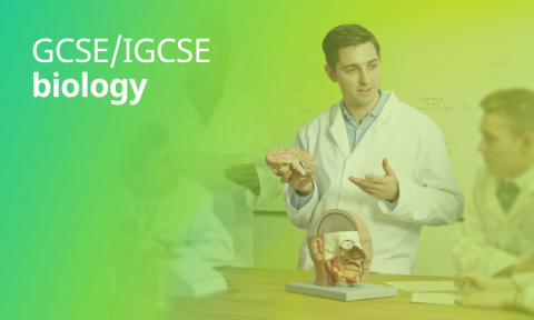 International GCSE Sciences are changing! - iGCSE Science Courses