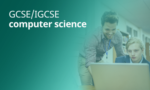 GCSE revision resources | Tes