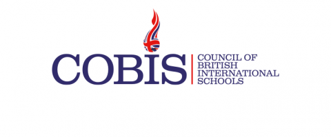 COBIS logo 2