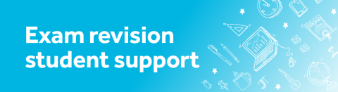 Revision support