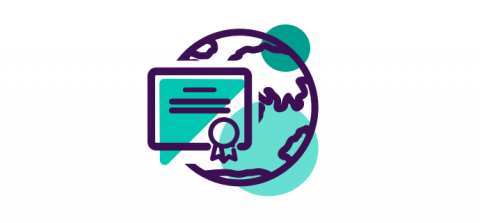 International teaching practice icon