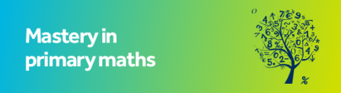 Mastery in primary maths