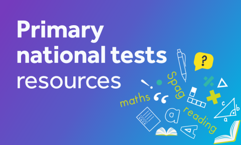 Primary national tests resources
