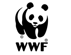 wwf6