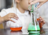 Improving science teaching at primary school is essential if the UK is to be a pioneer in the fourth industrial revolution, one academic tells MPs