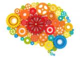 Brain Editorial