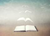Reading fiction has more of an impact on pupils' overall attainment, Pisa research shows