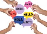 Universities cutting languages courses has a knock-on effect for schools, says Alison Borthwick