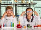 Timss: rankings