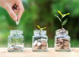FE White Paper: Funding boosts for adult education should have strings attached, says AELP